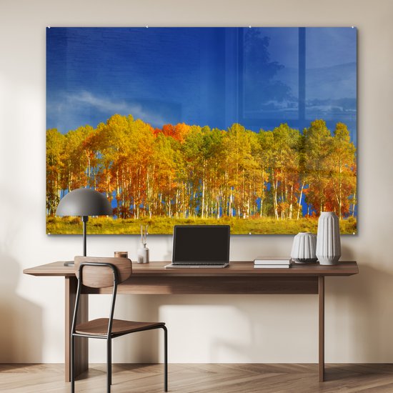 MuchoWow® Peinture sur verre 180x120 cm - Peinture sur verre - Peupliers colorés en automne - Photo sur verre acrylique - Peintures
