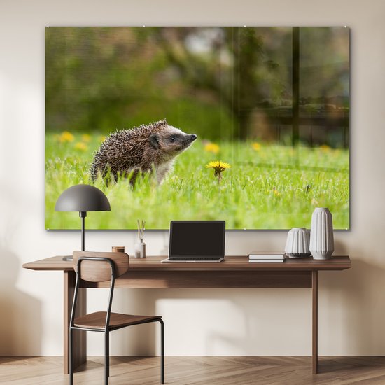 MuchoWow® Peinture sur verre 180x120 cm - Peinture acrylique sur verre - Hérisson - Bloem - Printemps - Photo sur verre - Peintures
