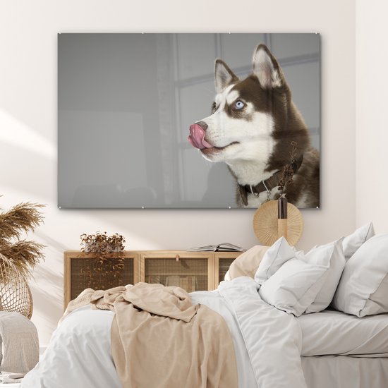 MuchoWow® Peinture sur verre - Husky - Animal - Lécher - 180x120 cm - Peintures sur verre acrylique - Photo sur Glas