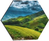 Dibond Hexagon - Rijstvelden in de Bergen van Indonesië - 30x26.1 cm Foto op Hexagon (Met Ophangsysteem)