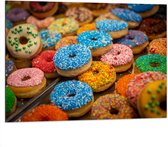 Dibond - Rij Verse Donuts met Verschillende Kleuren Sprinkles - 100x75 cm Foto op Aluminium (Wanddecoratie van metaal)