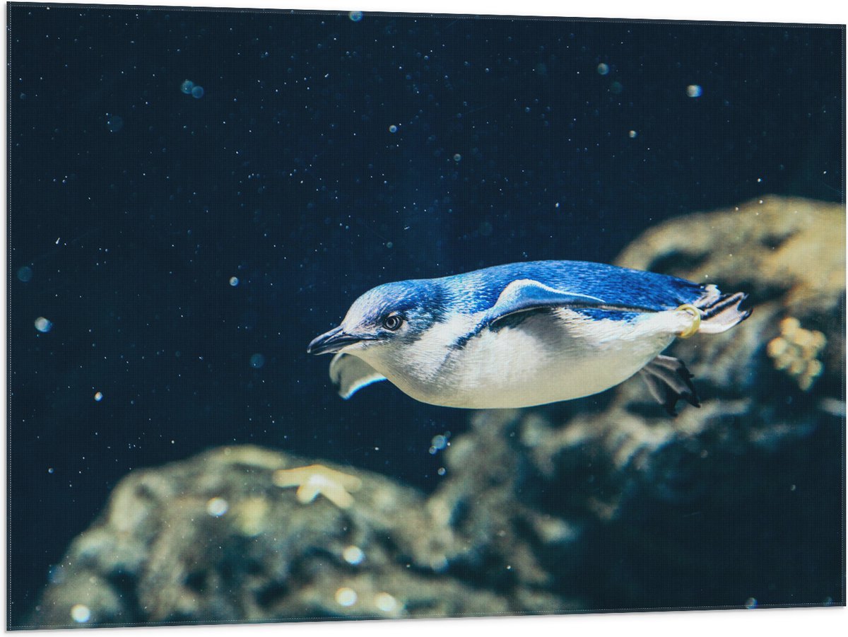Vlag - Zwemmende Blauwe Pingïun door Aquarium - 100x75 cm Foto op Polyester Vlag