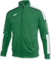 Joma Championship IV Polyestervest Kinderen - Groen / Wit | Maat: 164