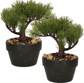 H&S Collection Kunstplant Bonsai boompje in pot - 2x - Type Needle - Japans decoratie - 19 x 13 x 15 cm