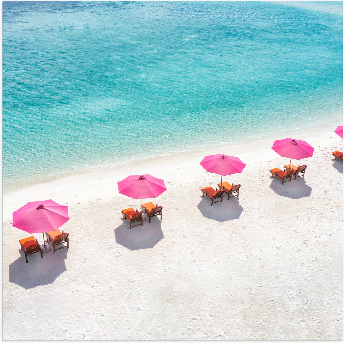 Poster Glanzend – Ligbedden onder Roze Parasols op het Witte Strand bij Blauwe Oceaan - 80