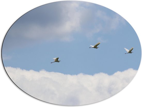 Dibond Ovaal - Vogels Vliegend Voorbij de Wolken - 80x60 cm Foto op Ovaal (Met Ophangsysteem)