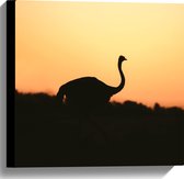 Canvas - Silhouet van Struisvogel bij Bossen tijdens Zonsondergang - 40x40 cm Foto op Canvas Schilderij (Wanddecoratie op Canvas)
