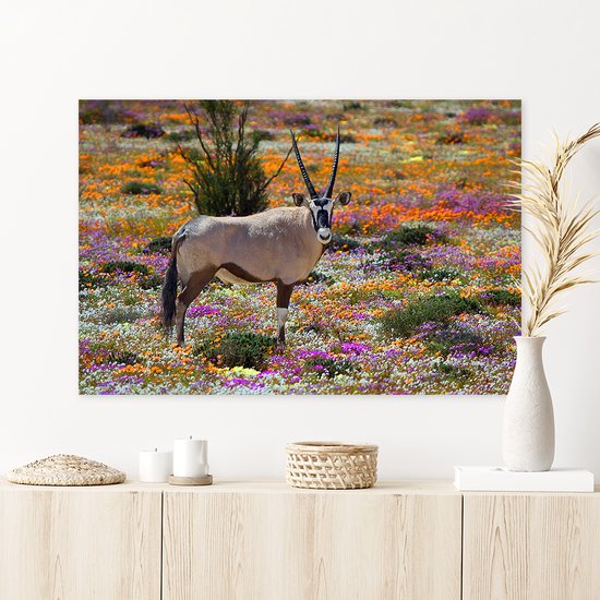 Plexiglas Schilderij Oryx