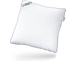 hoofdkussen / slaapkussen