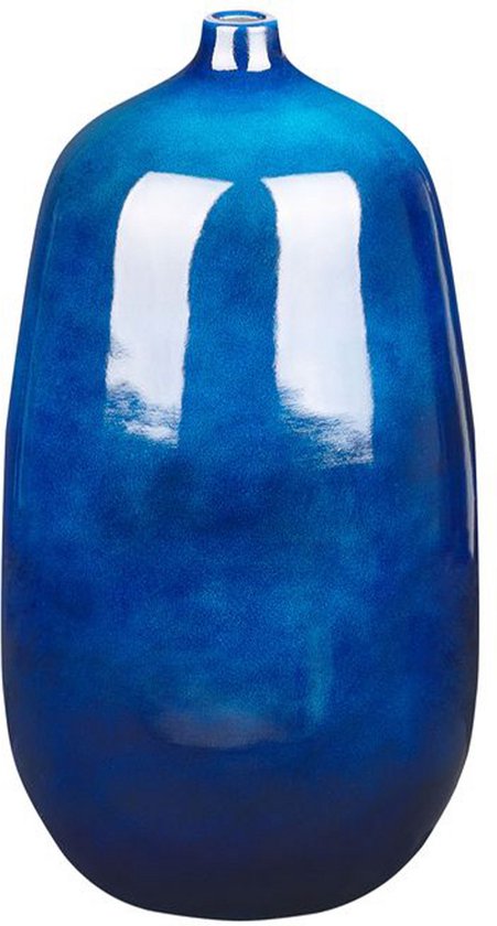 Beliani VITORIA - Vase fleuri - Blauw - Terre cuite