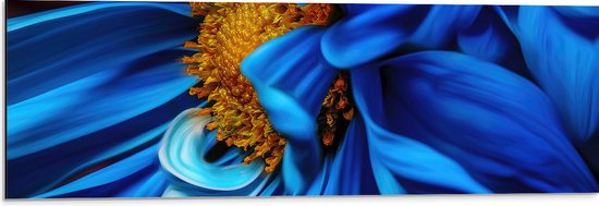 WallClassics - Dibond - Close-up van Felblauwe Bloem met Gele Binnenkant - 90x30 cm Foto op Aluminium (Met Ophangsysteem)