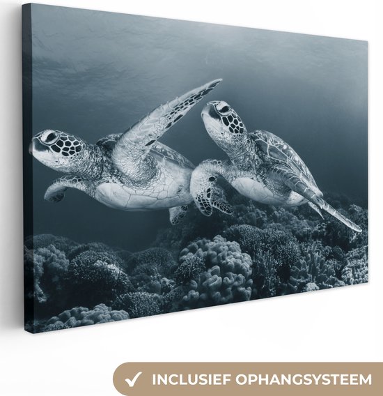Canvas schilderij - Schildpad - Zeedieren - Koraal - Zwart wit - Wilde dieren - Canvasdoek - 150x100 cm - Foto op canvas