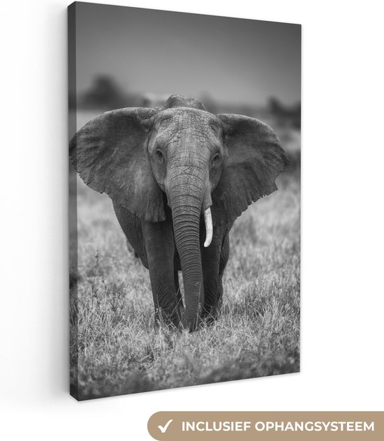 Canvas - Canvas schilderij - Schildersdoek canvas - Wanddecoratie - Muurdecoratie - Olifant - Dieren - Safari - Wildlife - 90x140 cm