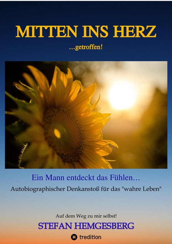 Mitten ins Herzgetroffen! (ebook), Stefan Hemgesberg