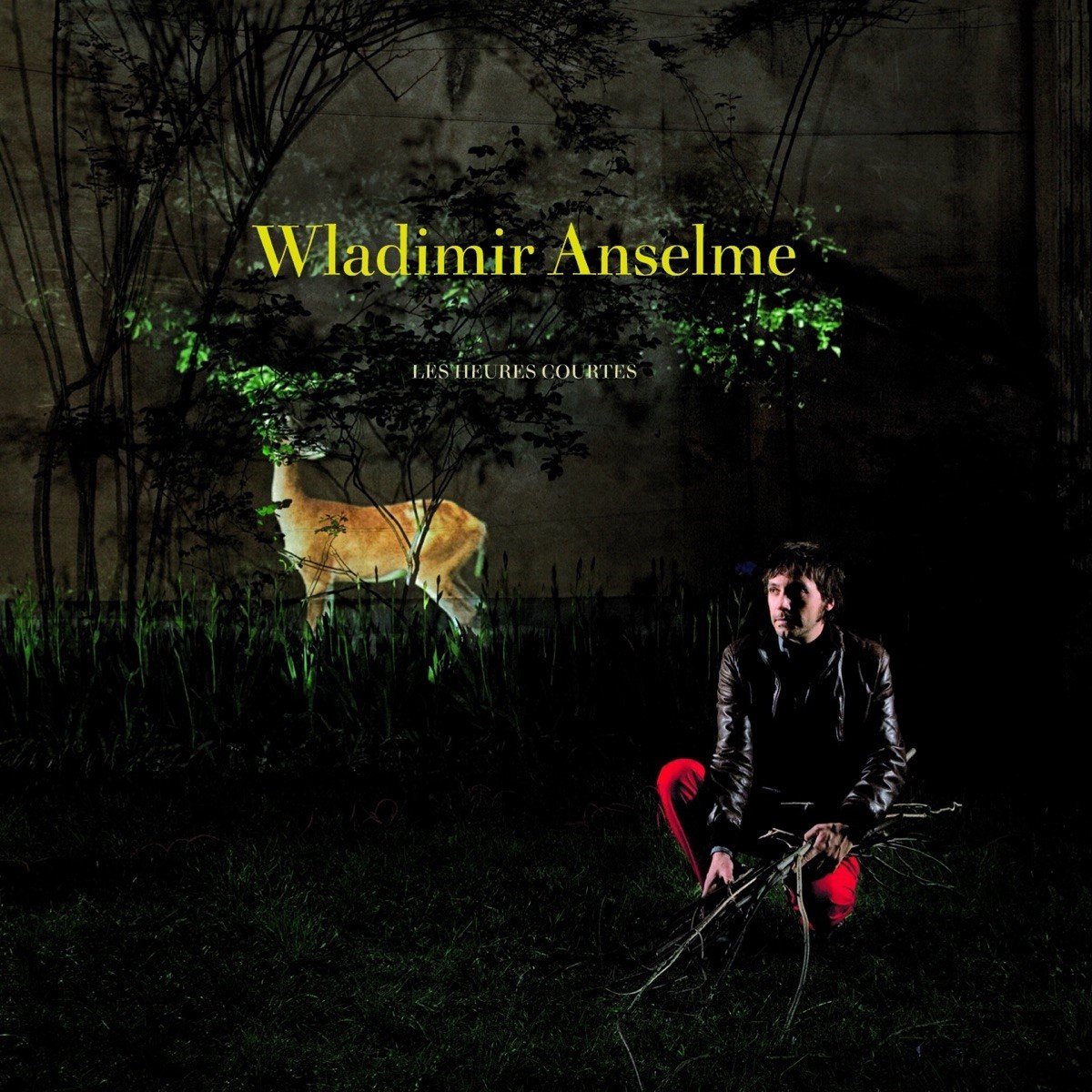 Wladimir Anselme - L'esclandre (CD)