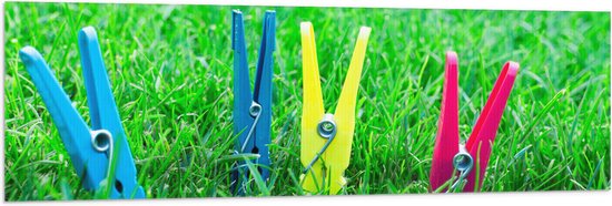 Vlag - Gekleurde Wasknijpers in het Gras - 150x50 cm Foto op Polyester Vlag