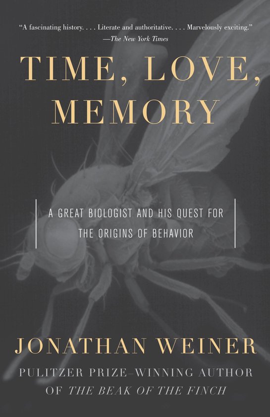 Time, Love, Memory - cover