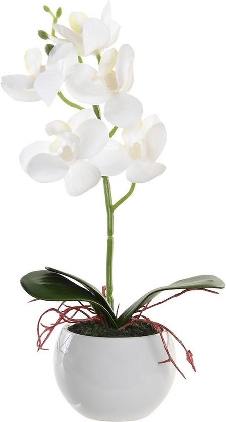 een beetje erwt dictator Items Orchidee bloemen kunstplant in witte bloempot - witte bloemen - H29  cm | bol.com