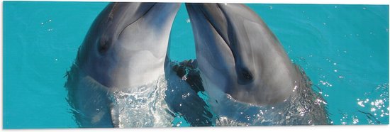 Vlag - Duo Dolfijnen in de Helderblauwe Zee - 90x30 cm Foto op Polyester Vlag