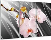 GroepArt - Schilderij -  Orchidee - Grijs, Roze, Wit - 120x80cm 3Luik - 6000+ Schilderijen 0p Canvas Art Collectie