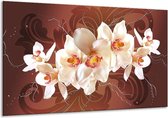 Peinture sur toile Orchidée | Marron, Crème | 120x70cm 1Hatch