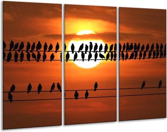 GroepArt - Schilderij -  Vogels - Zwart, Geel, Oranje - 120x80cm 3Luik - 6000+ Schilderijen 0p Canvas Art Collectie