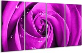 Peinture sur verre rose | Violet | 160x80cm 4 Liège | Tirage photo sur verre |  F003597