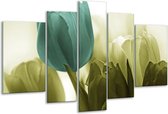 Glasschilderij Tulp - Blauw, Zwart, Groen - 170x100cm 5Luik - Foto Op Glas - Geen Acrylglas Schilderij - 6000+ Glasschilderijen Collectie - Wanddecoratie