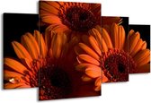 GroepArt - Schilderij -  Bloem - Oranje, Zwart, Rood - 160x90cm 4Luik - Schilderij Op Canvas - Foto Op Canvas