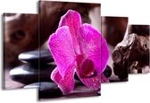 GroepArt - Schilderij -  Orchidee - Paars, Zwart, Bruin - 160x90cm 4Luik - Schilderij Op Canvas - Foto Op Canvas