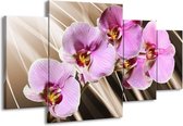 GroepArt - Schilderij -  Orchidee - Groen, Bruin, Roze - 160x90cm 4Luik - Schilderij Op Canvas - Foto Op Canvas