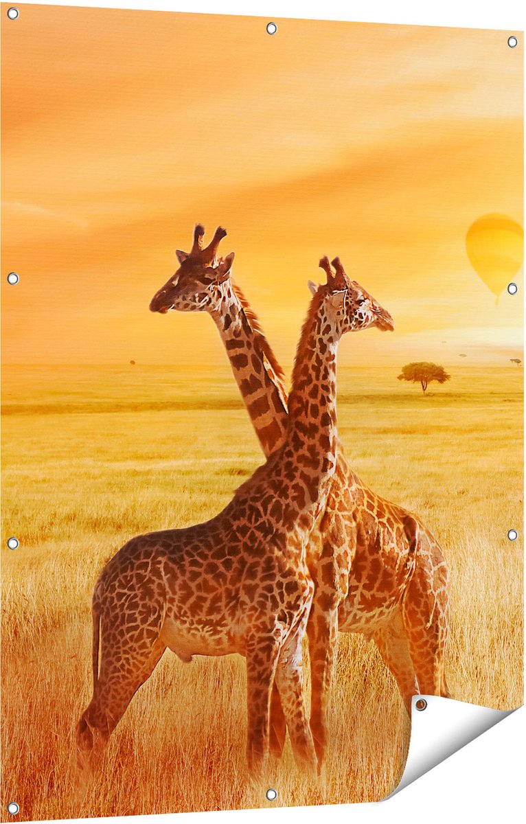 Gards Tuinposter Twee Giraffen met Twee Oranje Luchtballonnen - 90x120 cm - Tuindoek - Tuindecoratie - Wanddecoratie buiten - Tuinschilderij Multikleur