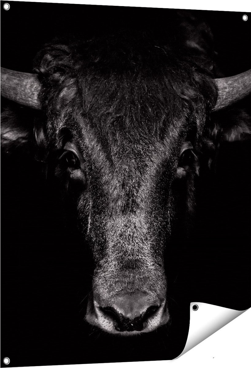 Gards Tuinposter Stierenkop - Stier - Zwart Wit - 80x100 cm - Tuindoek - Tuindecoratie - Wanddecoratie buiten - Tuinschilderij Multikleur