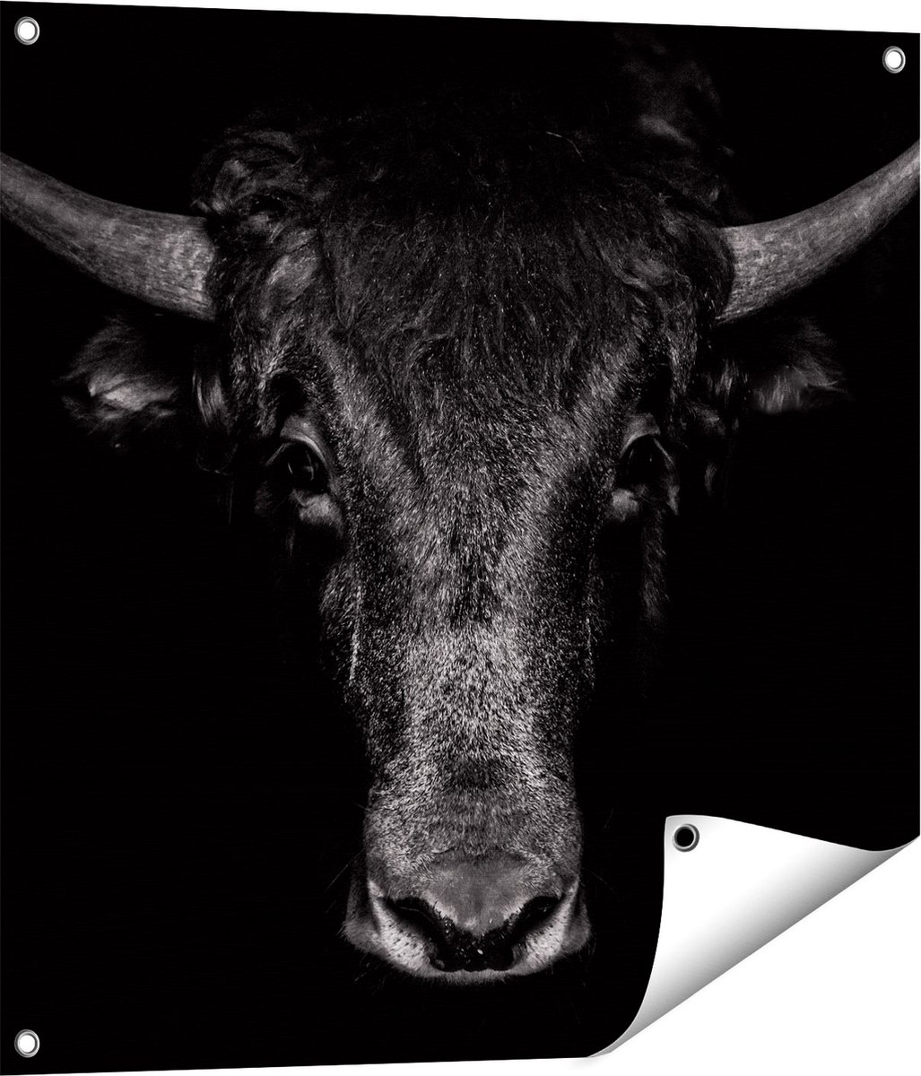 Gards Tuinposter Stierenkop - Stier - Zwart Wit - 70x70 cm - Tuindoek - Tuindecoratie - Wanddecoratie buiten - Tuinschilderij Multikleur