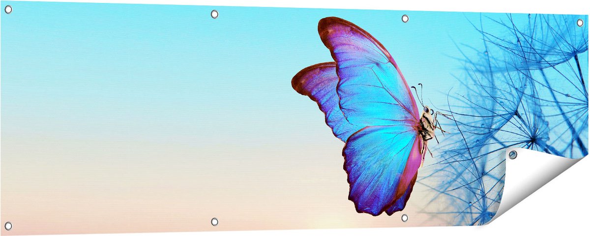 Gards Tuinposter Blauwe Vlinder bij Paardenbloemen - 150x50 cm - Tuindoek - Tuindecoratie - Wanddecoratie buiten - Tuinschilderij Multikleur