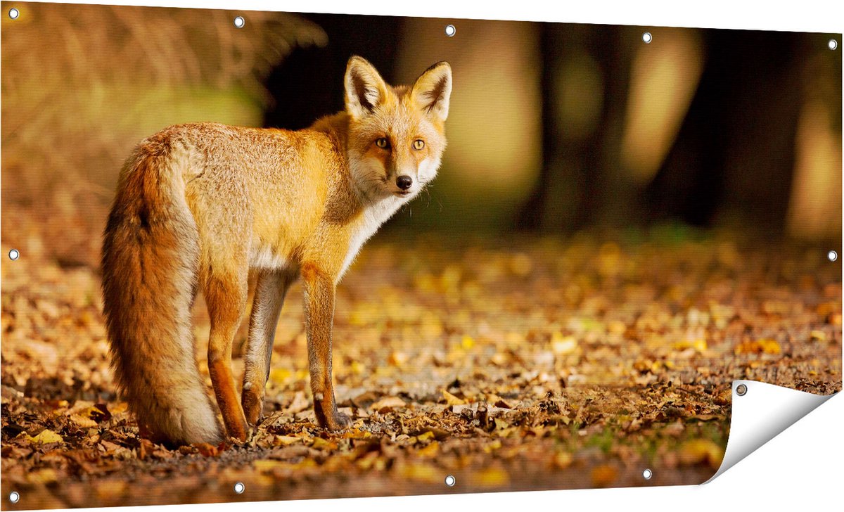 Gards Tuinposter Vos in het Herfstbos - 160x80 cm - Tuindoek - Tuindecoratie - Wanddecoratie buiten - Tuinschilderij Multikleur
