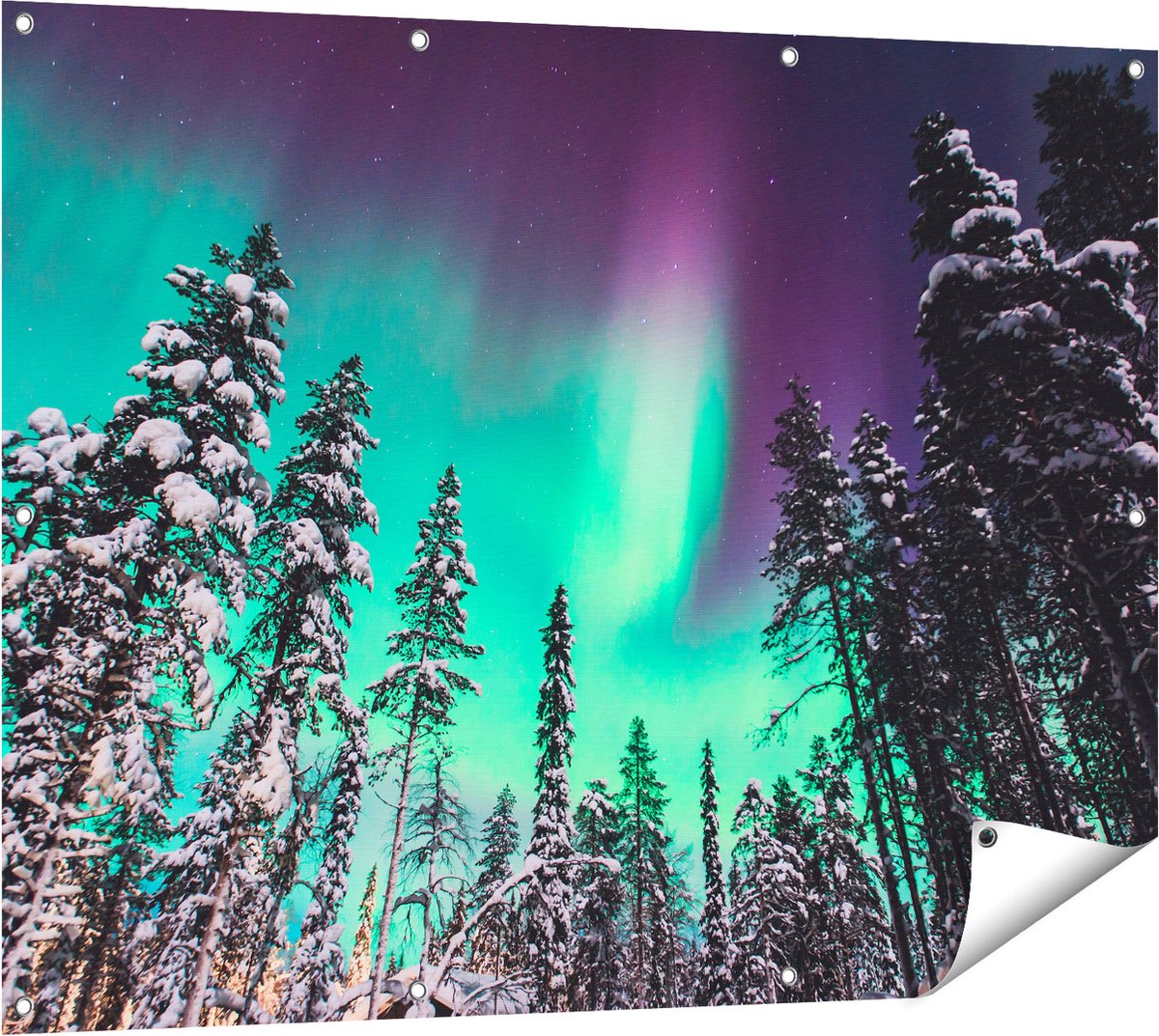 Gards Tuinposter Noorderlicht in de Bossen van Noorwegen - 120x90 cm - Tuindoek - Tuindecoratie - Wanddecoratie buiten - Tuinschilderij Multikleur