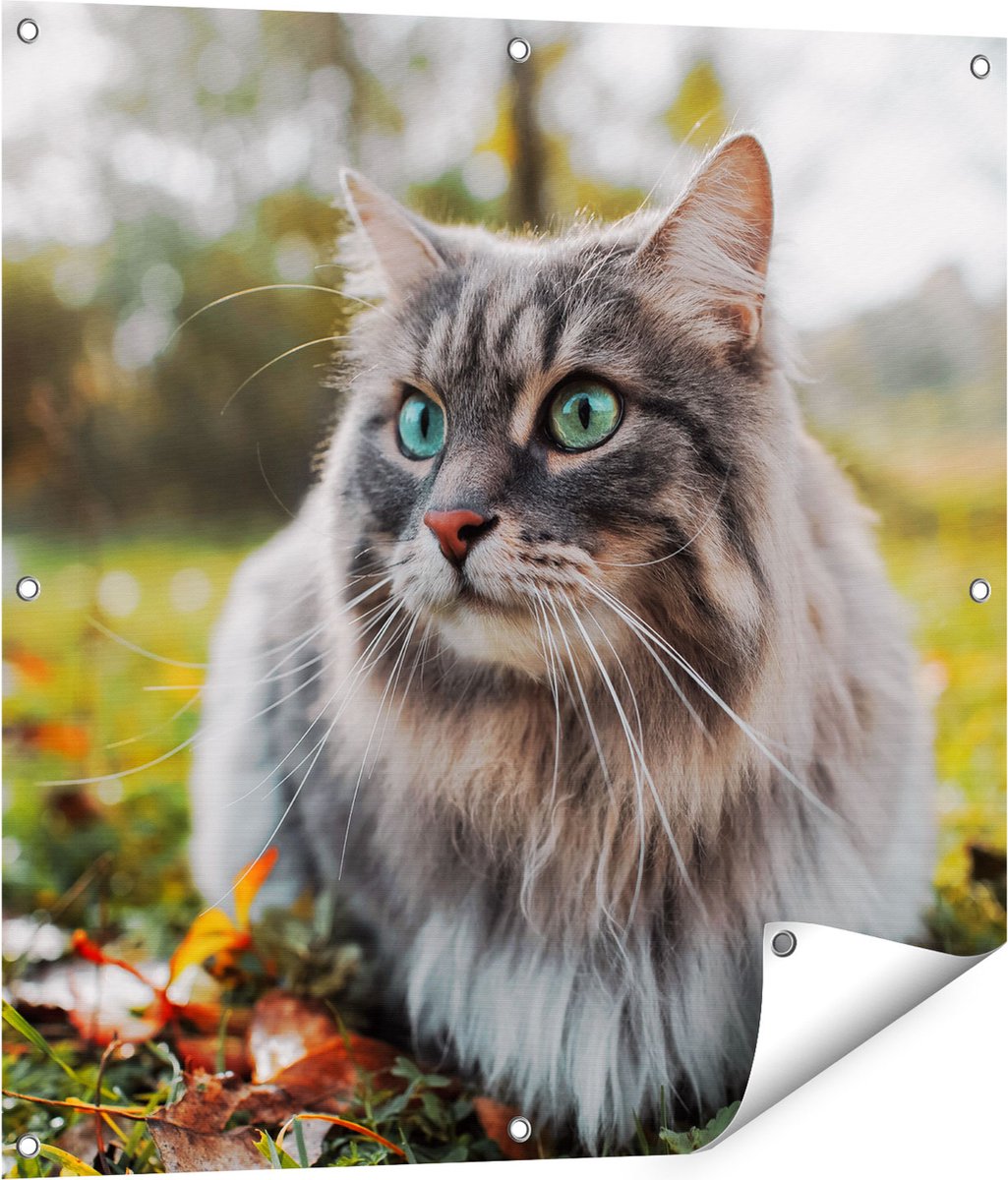 Gards Tuinposter Kat met Groene Ogen op het Gras - 80x80 cm - Tuindoek - Tuindecoratie - Wanddecoratie buiten - Tuinschilderij Multikleur