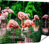 Gards Tuinposter Kudde Flamingo's in de Jungle in het Water - 120x90 cm - Tuindoek - Tuindecoratie - Wanddecoratie buiten - Tuinschilderij