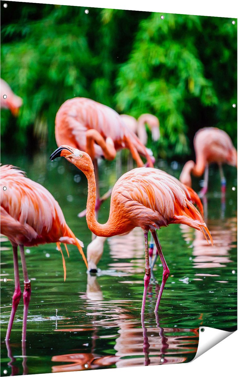 Gards Tuinposter Kudde Flamingo's in de Jungle in het Water - 120x160 cm - Tuindoek - Tuindecoratie - Wanddecoratie buiten - Tuinschilderij Multikleur