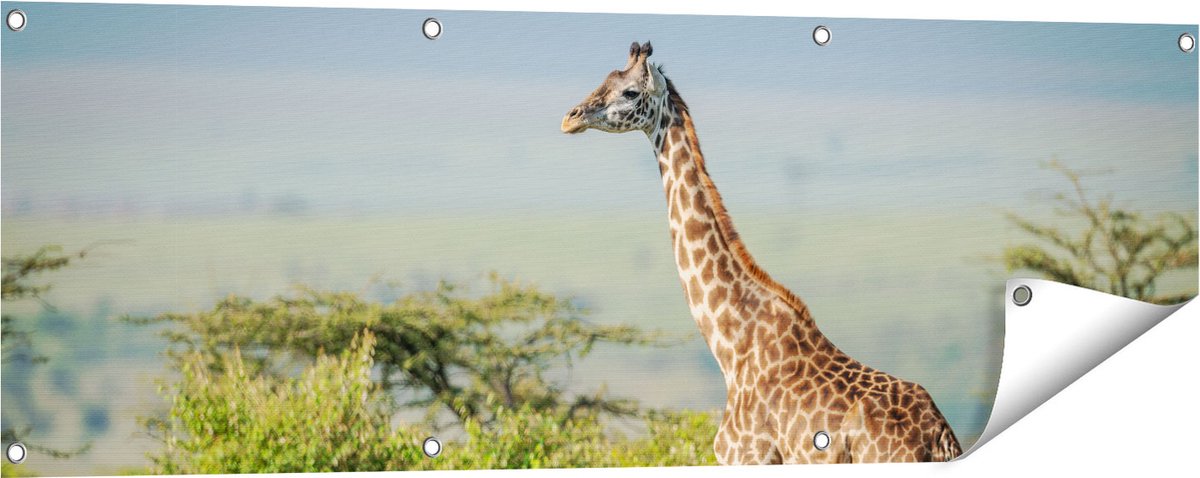 Gards Tuinposter Giraffe in het Wild tussen de Struiken - 120x40 cm - Tuindoek - Tuindecoratie - Wanddecoratie buiten - Tuinschilderij Multikleur