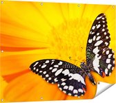 Gards Tuinposter Vlinder op een Oranje Bloem - 120x90 cm - Tuindoek - Tuindecoratie - Wanddecoratie buiten - Tuinschilderij