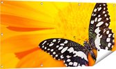 Gards Tuinposter Vlinder op een Oranje Bloem - 120x60 cm - Tuindoek - Tuindecoratie - Wanddecoratie buiten - Tuinschilderij