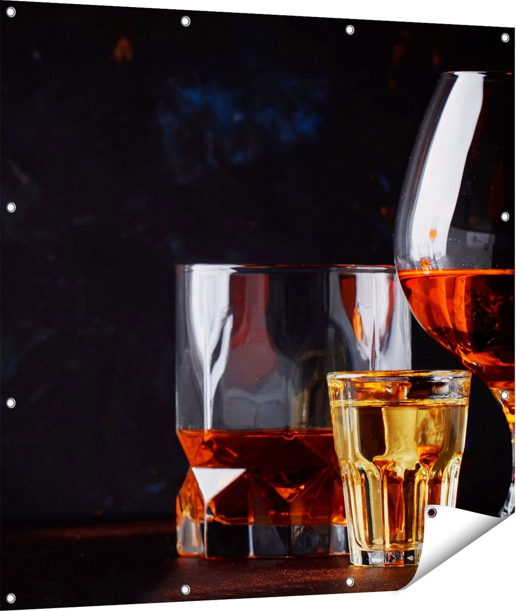 Gards Tuinposter Sterke Alcohol Drank - Glazen - 110x110 cm - Tuindoek - Tuindecoratie - Wanddecoratie buiten - Tuinschilderij Multikleur