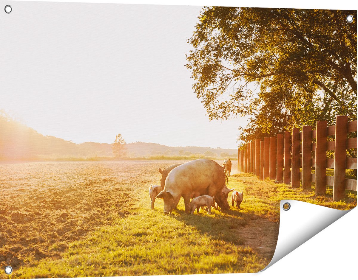 Gards Tuinposter Varken Familie - Varkens - 90x60 cm - Tuindoek - Tuindecoratie - Wanddecoratie buiten - Tuinschilderij Multikleur