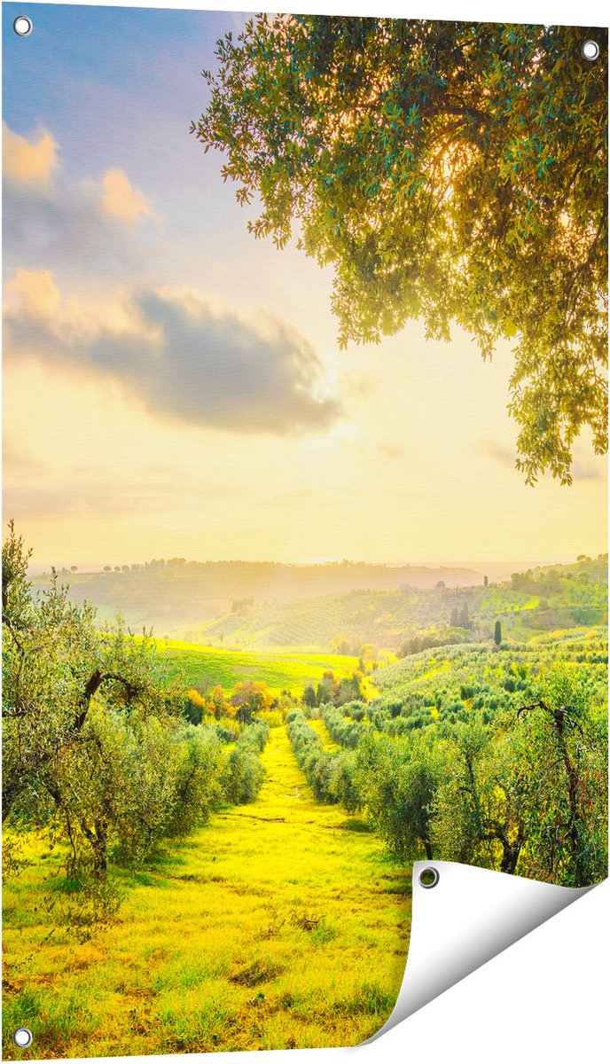 Gards Tuinposter Olijvenbomen - Olijvengaard - 60x90 cm - Tuindoek - Tuindecoratie - Wanddecoratie buiten - Tuinschilderij Multikleur
