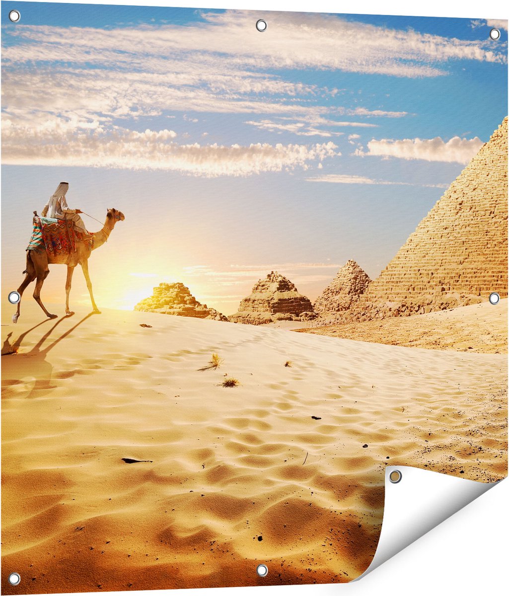Gards Tuinposter Egyptische Piramides met een Kameel - 80x80 cm - Tuindoek - Tuindecoratie - Wanddecoratie buiten - Tuinschilderij Multikleur