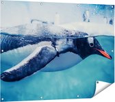 Gards Tuinposter Pingu�n Zwemt in het Water - 120x90 cm - Tuindoek - Tuindecoratie - Wanddecoratie buiten - Tuinschilderij