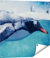 Gards Tuinposter Pingu�n Zwemt in het Water - 70x70 cm - Tuindoek - Tuindecoratie - Wanddecoratie buiten - Tuinschilderij