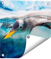 Gards Tuinposter Pingu�n Zwemt onder Water - 40x40 cm - Tuindoek - Tuindecoratie - Wanddecoratie buiten - Tuinschilderij